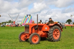 2010-tractors-(13)-1326488114