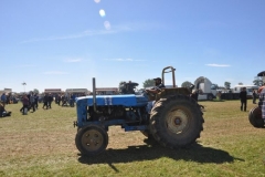 2010-tractors-(16)-1326488185