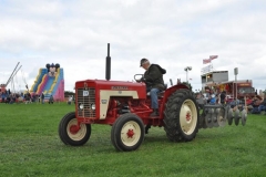 2010-tractors-(18)-1326488198
