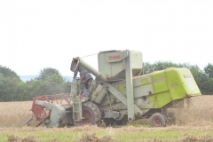 combines-(11)-1351600129 (1)