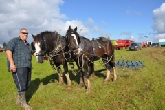 horses-(4)-1351602803